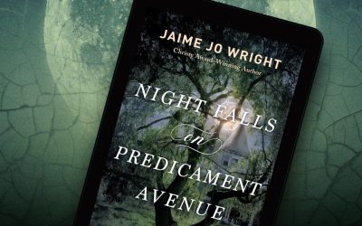 Night Falls on Predicament Avenue by Jaime Jo Wright Review